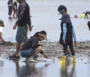 더위도 피서도 절정…여름 해변 축제 풍성