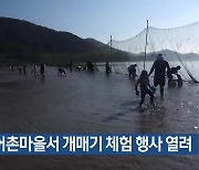 진도 어촌마을서 개매기 체험 행사 열려