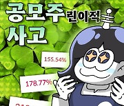 초긍정 '원영적 사고', 공모주 재테크에도?