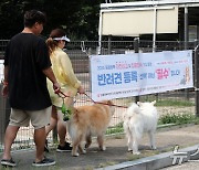 서울시 내일부터 반려동물 자진신고