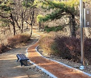 '어싱 열풍'…세종지역 곳곳 맨발황톳길 조성 "건강 챙겨볼까"