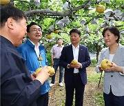 7월 농축산물 물가 6.2% 증가… "안정세 보일 것"