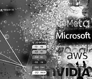 "AI, 가성비 떨어진다"… AI투자 속도조절론