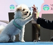 "반려견 꼭 등록해야…9월까지 자진신고"