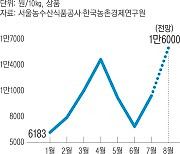 폭우 아니면 폭염, 밥상은 울상