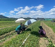 ‘폭염’ 경남 온열질환 사망 3명