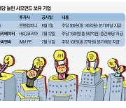 변동성 장세에 PEF투자 고배당株 눈길