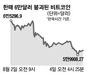 안전자산도 혼돈 금선물가격 요동