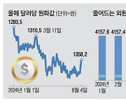 "원화값 치솟을라" 정부, 달러 확보 총력전