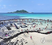 금능 원담축제 맨손 고기잡기