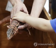 고사리 손으로 인사