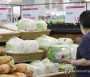 배추 고르는 시민