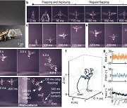 건국대, 장수풍뎅이 비행원리 모사한 초소형 비행 로봇 개발