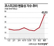 파랗게 질린 증시, 치솟은 공포지수