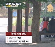 밤낮 없는 찜통더위에 피해 속출…사망자 두자릿수 넘어