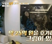 70억집 돈자랑 '비판'… 홍혜걸 "의사는 돈 벌면 안돼?"