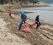 장마철 태안 바닷가 밀려온 쓰레기 600t 수거