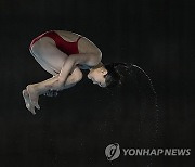 Paris Olympics Diving