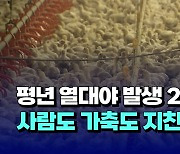 [자막뉴스] 평년 열대야 발생 2배 넘어서..사람도 가축도 지친다