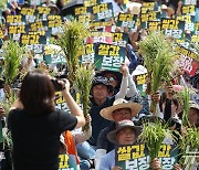 산지 쌀값 17만원대 진입 '정부 대책마련 촉구'