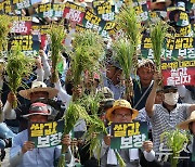 '윤석열 내리고 쌀값 올리자'