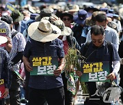 쌀값 폭락에 고개 숙인 농민들