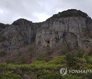 최근 10년 국립공원 사망사고 167건…절반이 심장돌연사