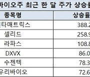 글로벌 변동성 커질 때 홀로 웃은 바이오주