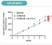 지아이이노베이션, 기존 한계 극복한 차세대 비만치료제 ‘GI-213’ 개발 본격화