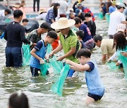 보성군, 제16회 보성전어축제 16일부터 개최