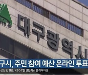 대구시, 주민 참여 예산 온라인 투표