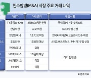 출렁이는 증시, M&A 매물 '밸류 눈높이' 재차 벌어지나 [투자360]