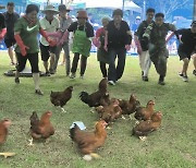 담양 한재골 수목정원 물축제 인기