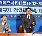 민주, 티메프TF 설치…정무위 현안청문회 추진·국조도 검토(종합)