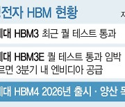 AI주도권 경쟁 뛰어든 삼성…전문가들 "HBM 본게임 시작"