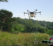 대구 군위군, '돌발해충 박멸' 산림병해충 드론 방제 실시