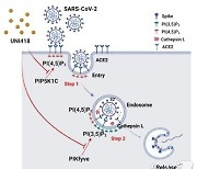 UNIST, 변종 바이러스 치료제 개발…"인체 감염 원천 봉쇄"