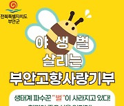 '붕붕이를 살려주세요'…부안군 야생벌 살리는 고향사랑 모금 추진