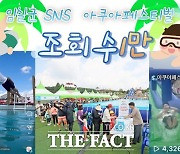 임실군청 SNS, 아쿠아페스티벌 홍보 콘텐츠 조회수 1만 '후끈'