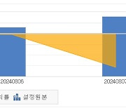 디와이운용, ‘블랙 먼데이’ 때 펀드 반토막…재간접 담은 미래에셋운용도 마이너스