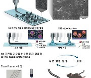 "조직 손상 입지 않고 심장·뇌 신호 측정"…3D프린팅 이용해 생체전자소자 제작