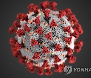 휴가철인데 `코로나 재확산` 어쩌나…진단키트 판매량도 `껑충`