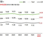 DGB금융그룹, 비은행 자회사 위험가중자산 감축 ‘속도’