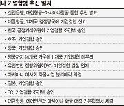 "EU 승인 조건 다 충족" 대한항공, 아시아나 합병 9부능선 넘다