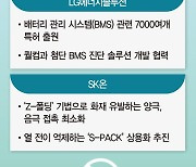 '전기차 공포' 기술로 이긴다… K배터리, 안전 강화 총력전 [배터리 포비아 '오해와 진실' (下)]