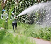 전국에 말라리아 경보…"모기 안 물리게 야간 야외활동 자제"