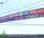 안 잡히는 햇전어…속 타는 ‘전어 축제’