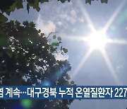 폭염 계속…대구·경북 누적 온열질환자 227명