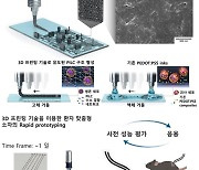 [쿠키과학] 개인 맞춤형 생체전자소자, 3D프린팅으로 쉽게 만든다