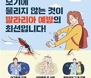 폭염에 잠 못드는 밤, 호수공원 갔다가 ‘날벼락’…오한에 두통, 이것 경보 발령